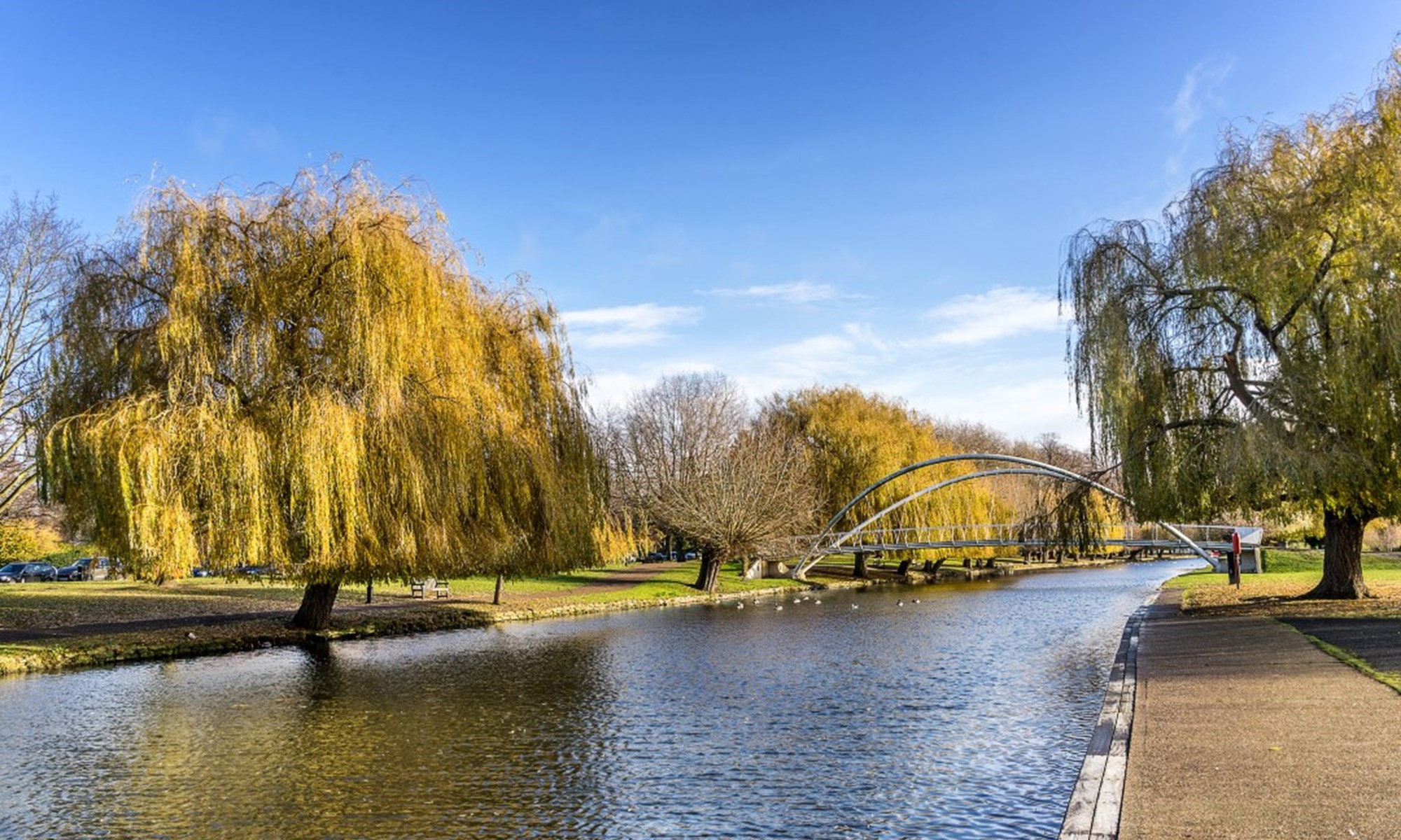 Bedford Town