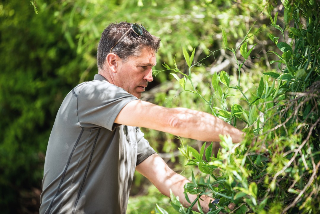 man wearing sunglasses and trimming plants outdoors