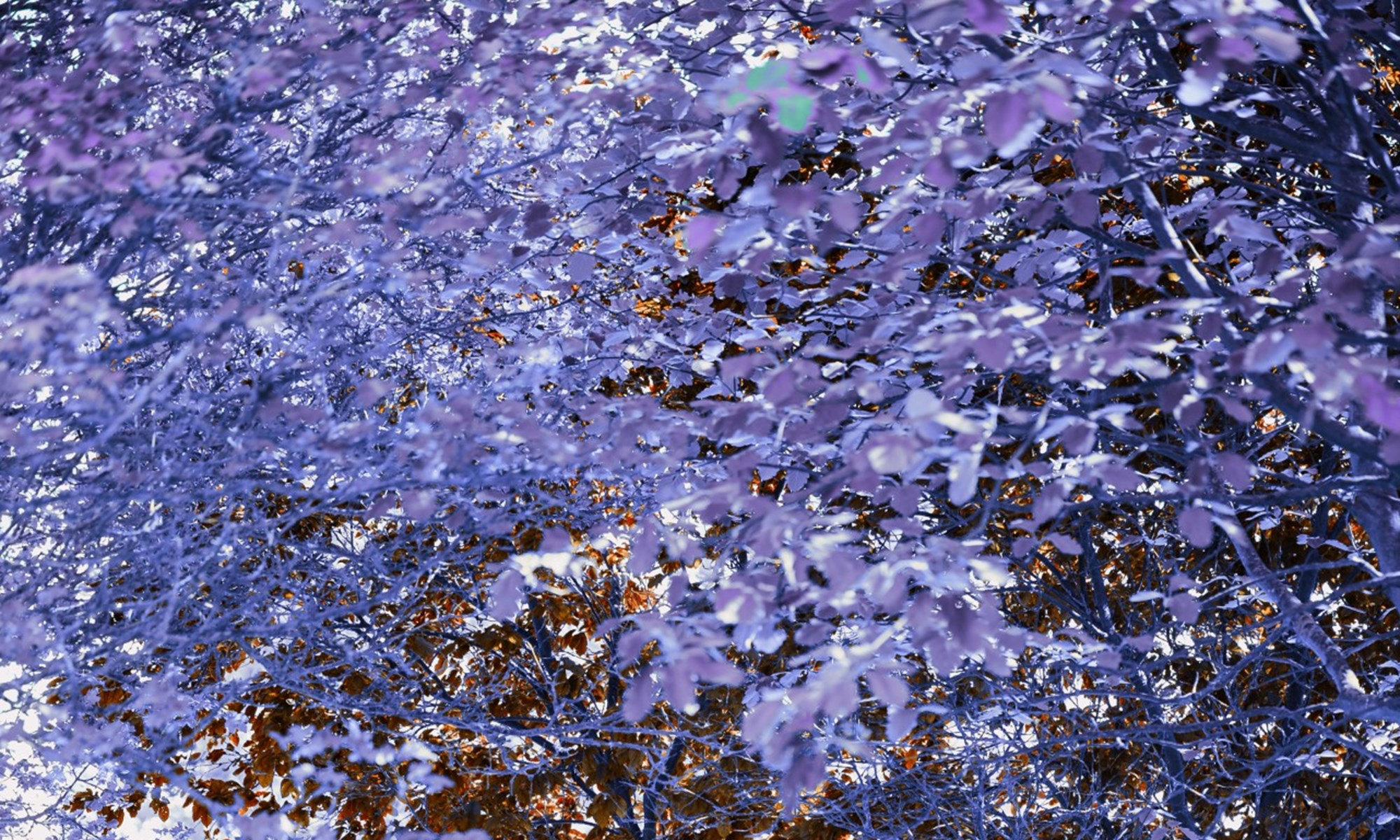 Nature At Wyboston Lakes (11)