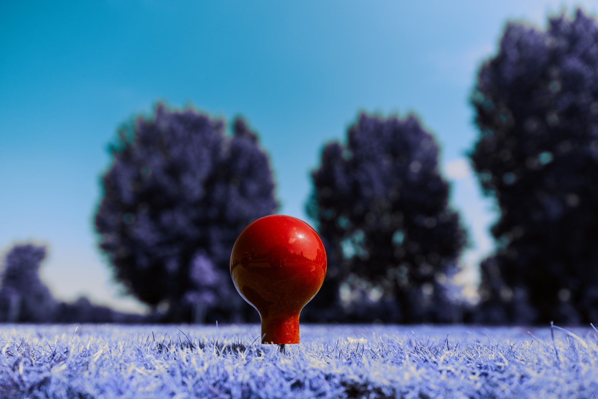 red golf ball on tee on grass with trees in