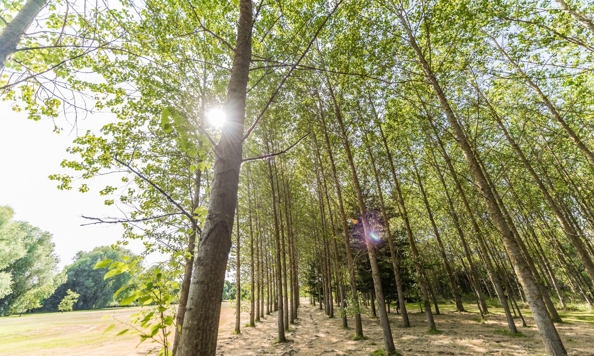 Wyboston Lakes Nature (15)