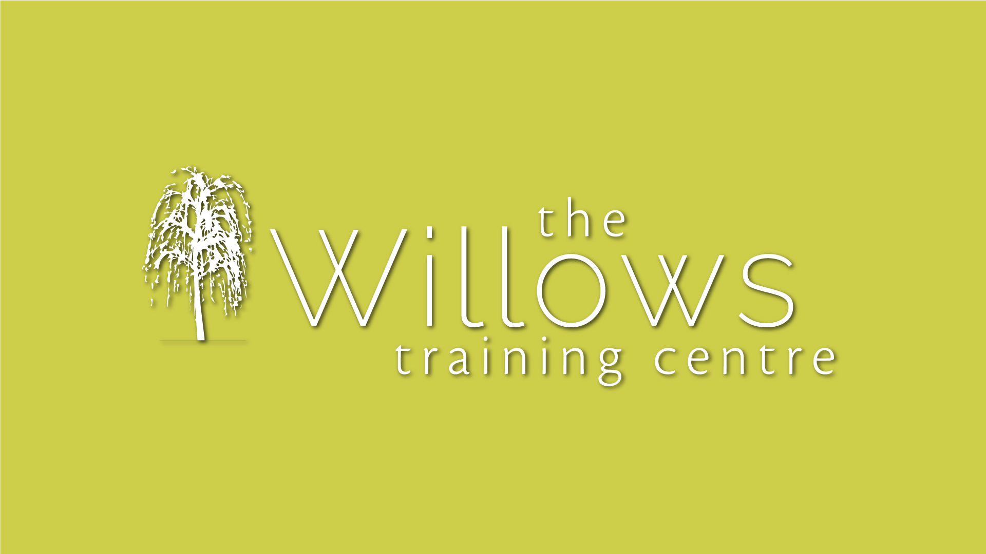white willow tree logo with text on yellow background