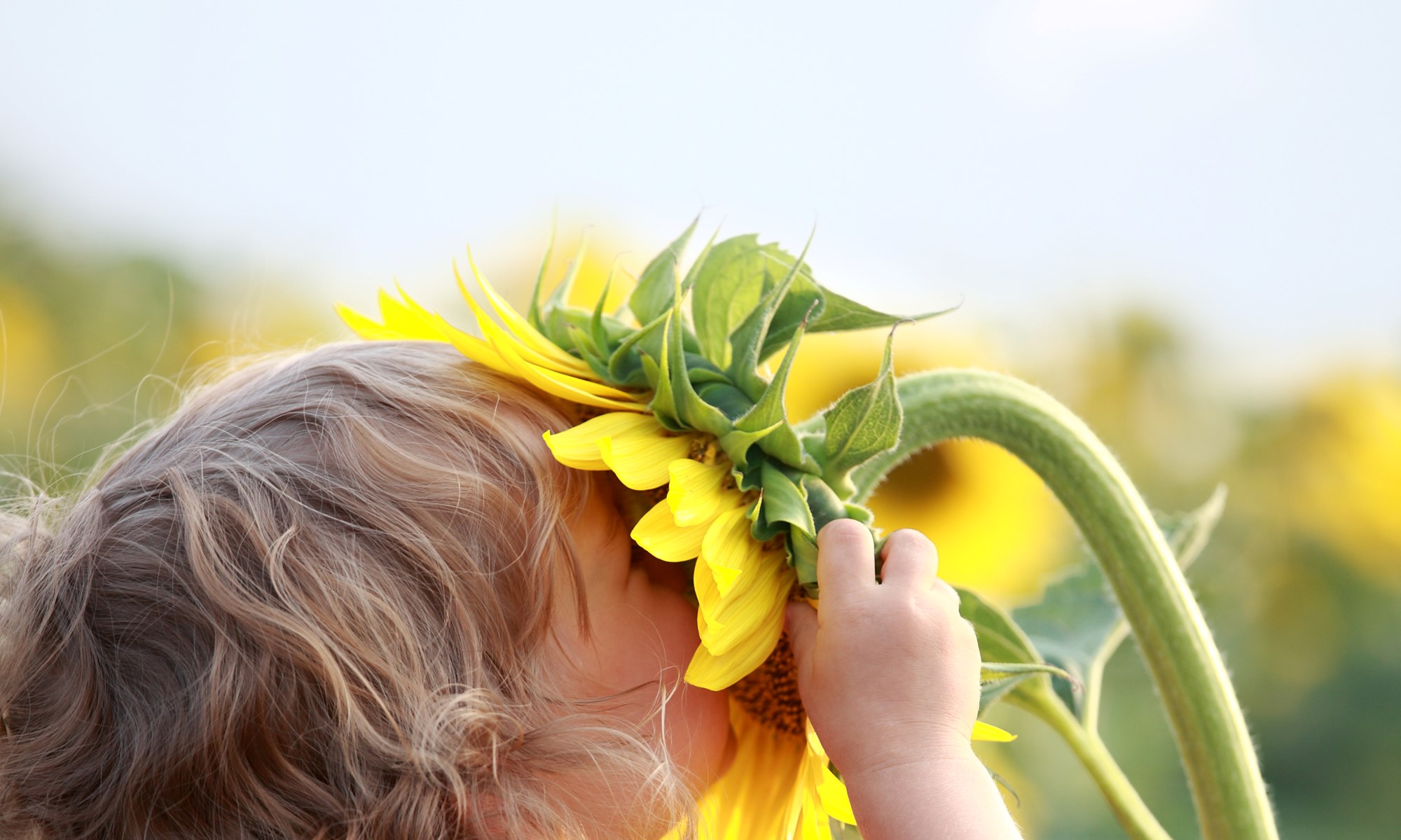 Istock 131958297