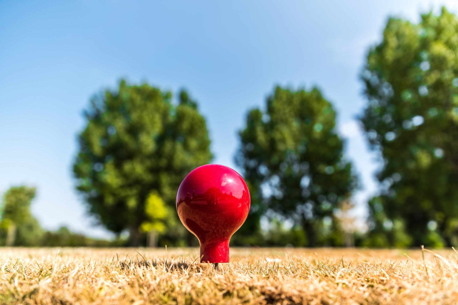 red golf tee on dry grass field with trees background