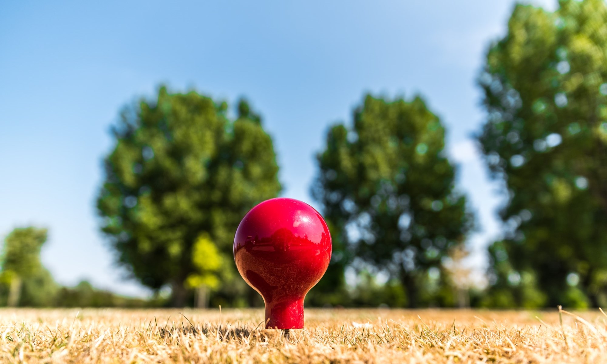 Wyboston Lakes Resort Golf (7)