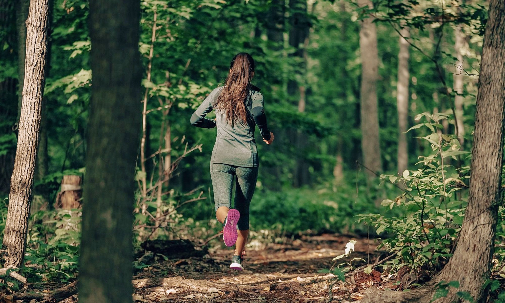 Shutterstock 1811172892 (Large)