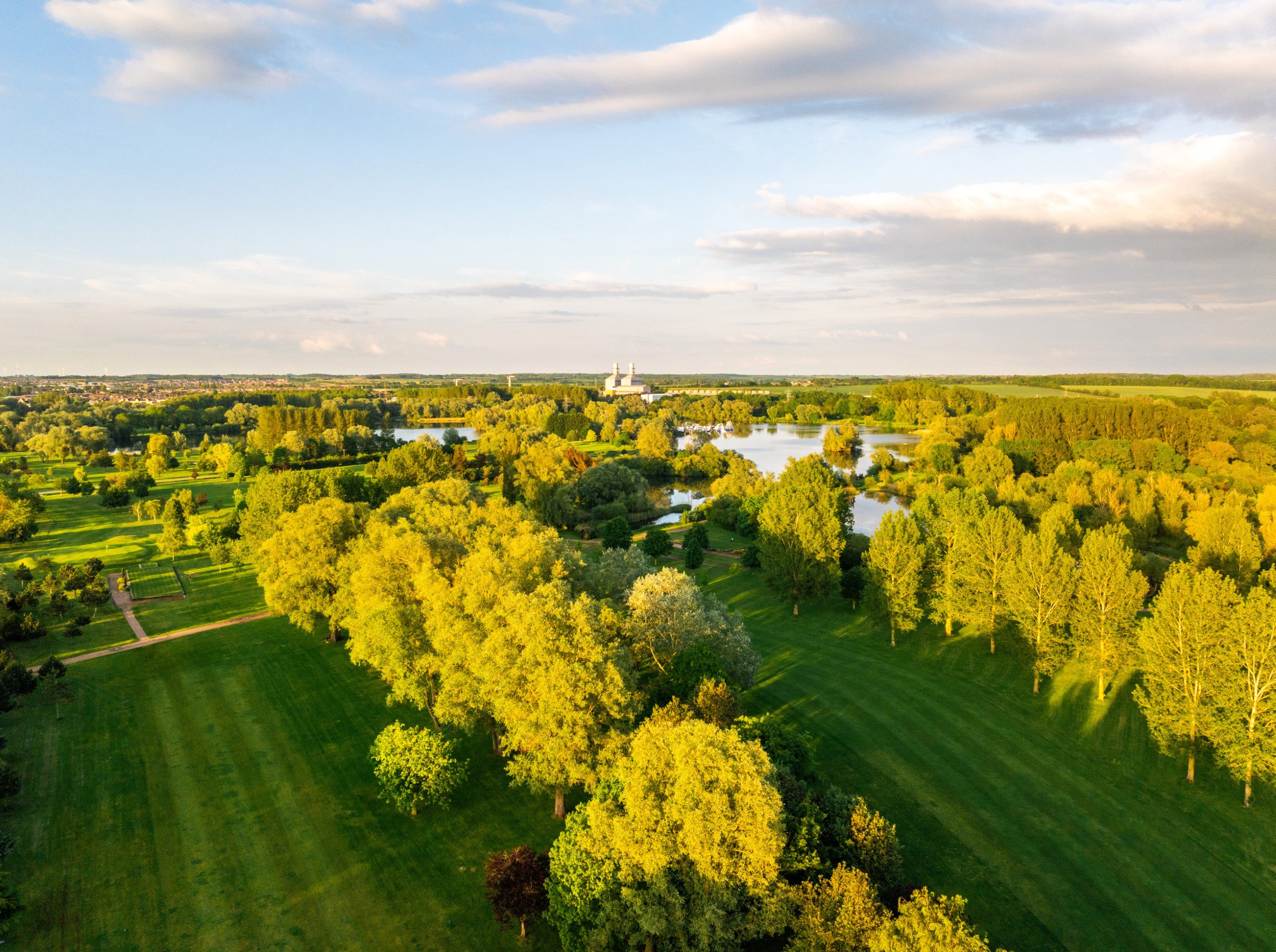 aerial view of green trees grassy park with water body