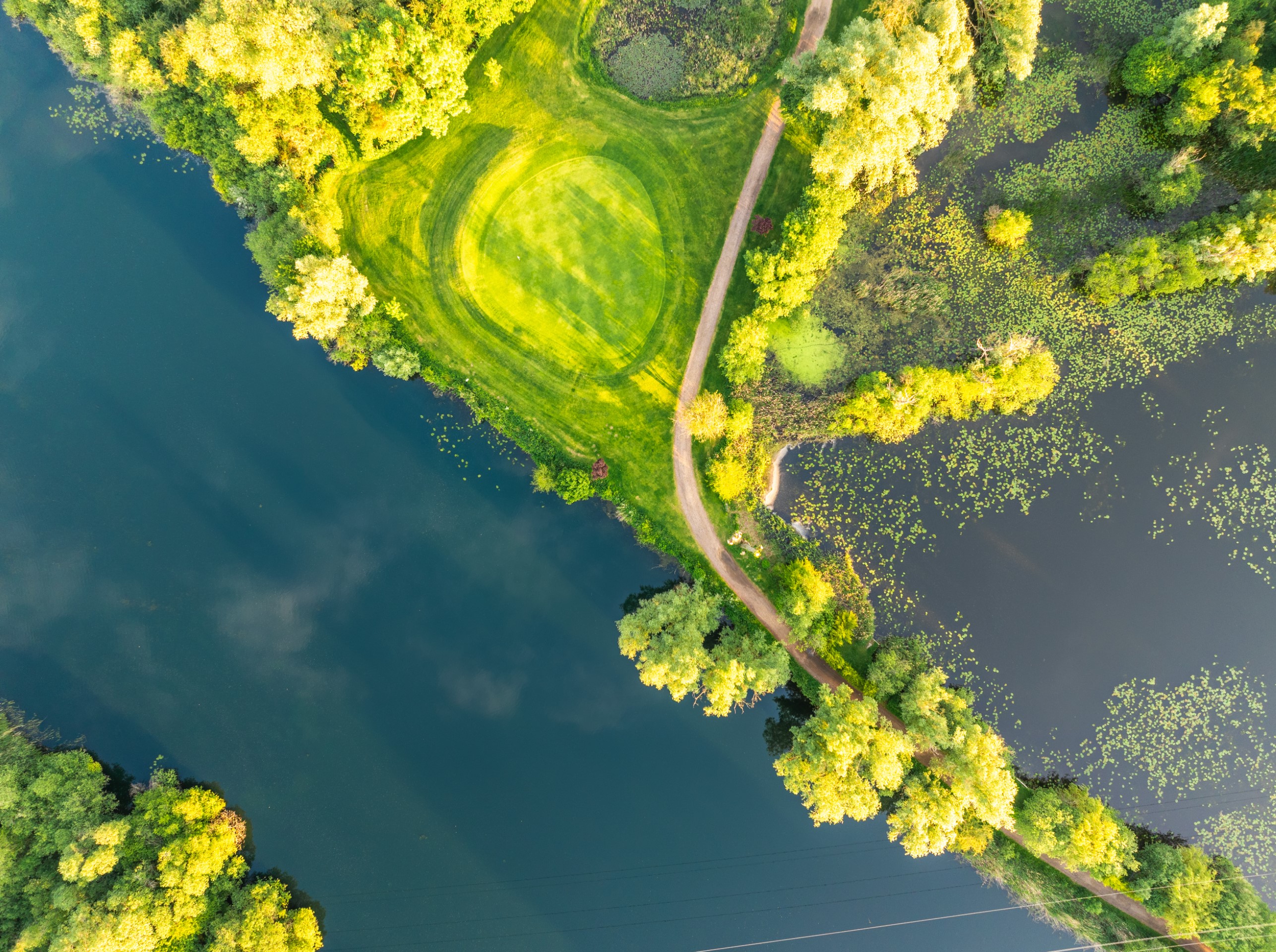 aerial view of path trees and water body in green
