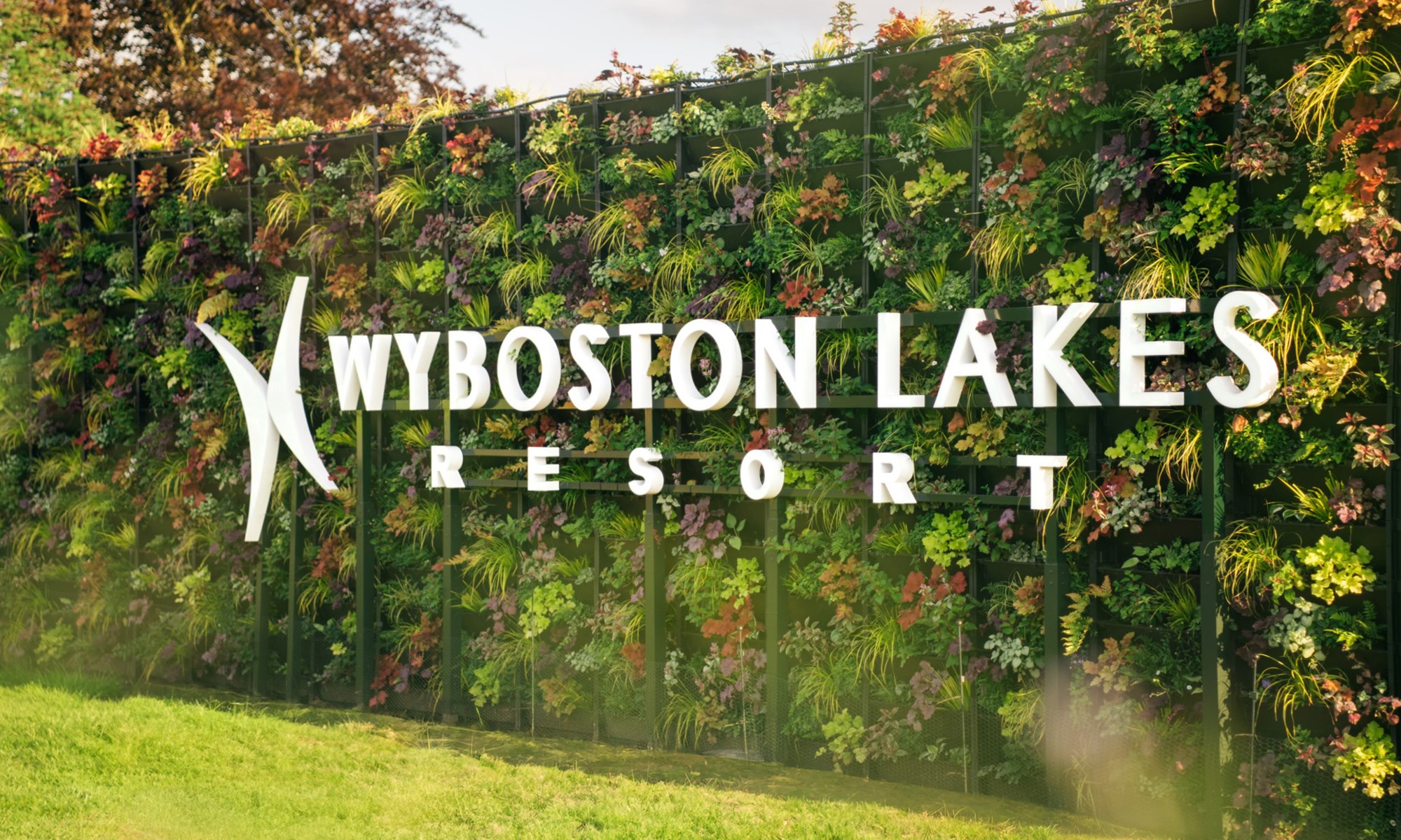 sign on green wall with plants and grass in front