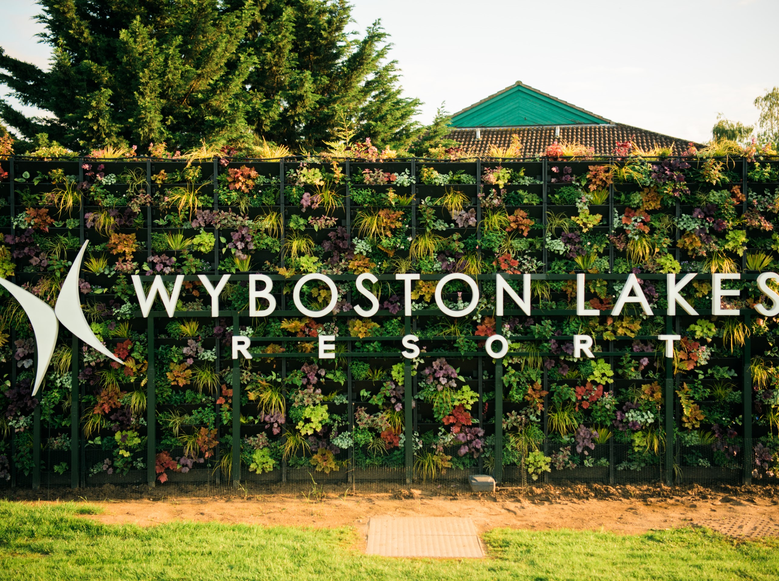 green leafy wall with resort sign and grass below