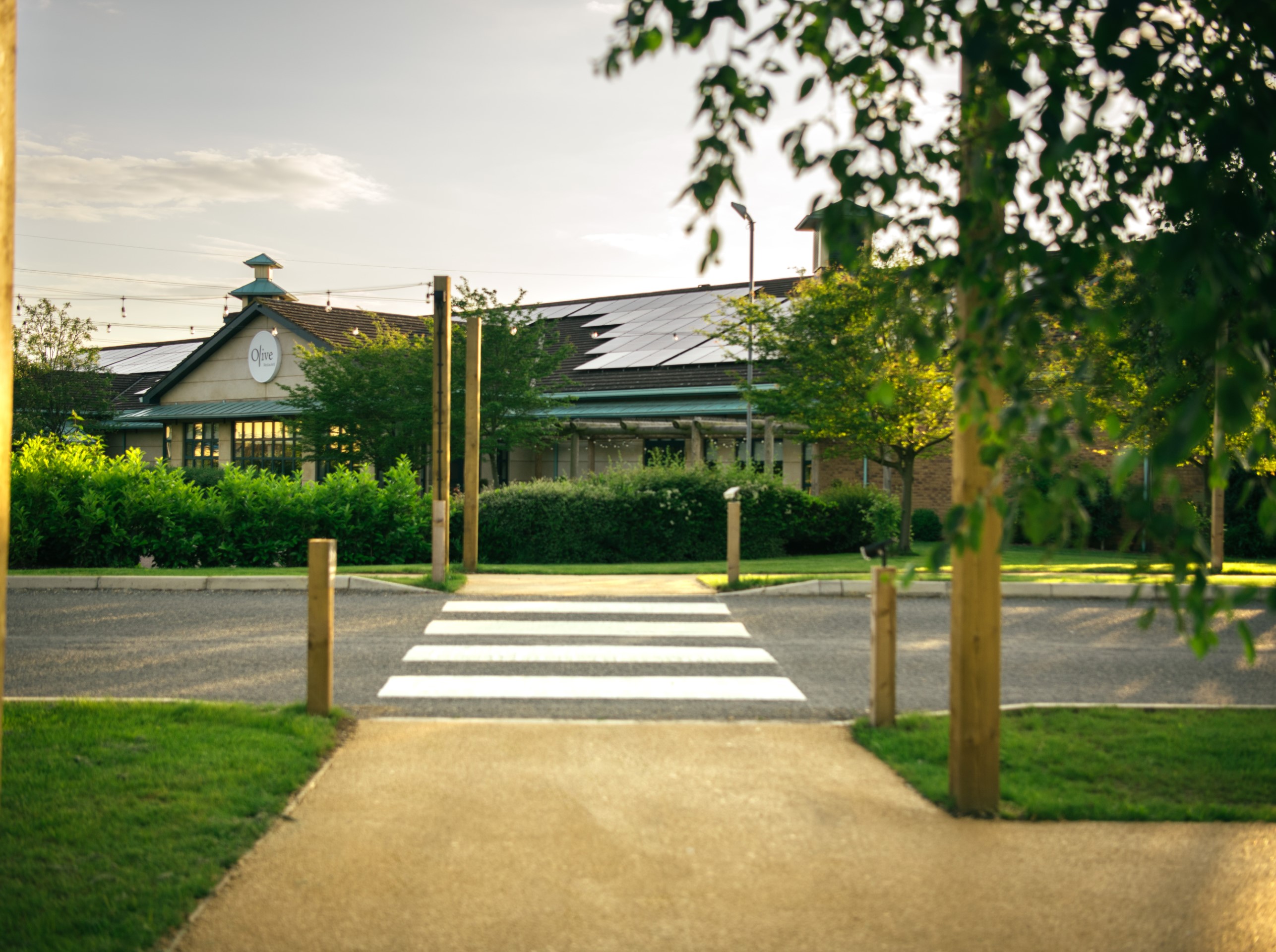 car park with zebra crossing and trees at sunset