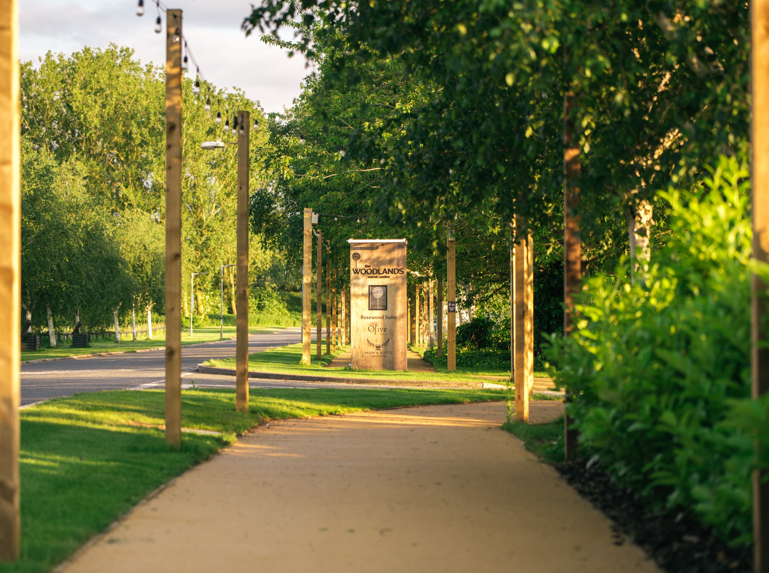 wooded walkway with string lights and wooden posts