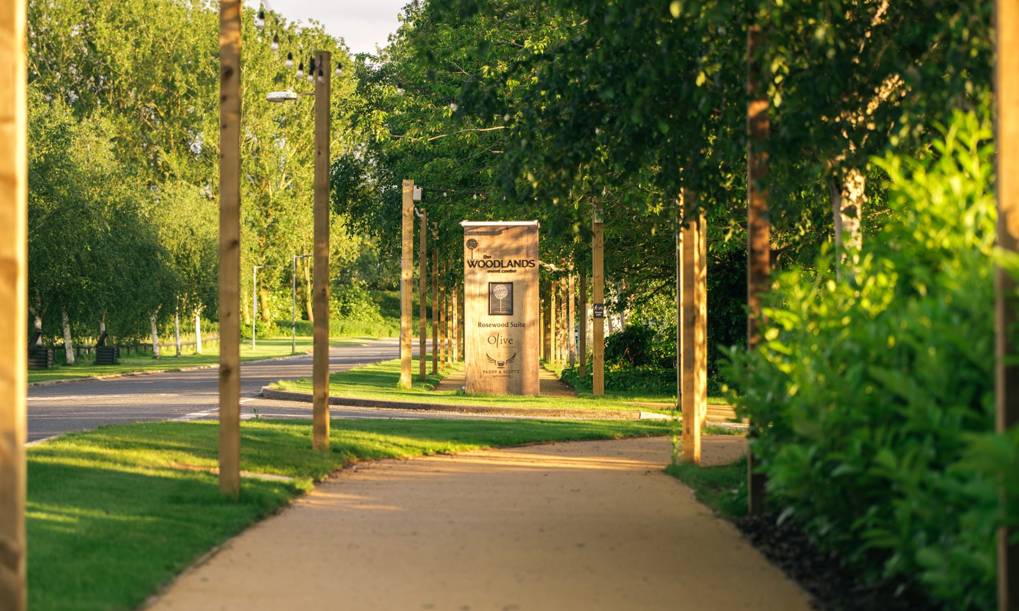 wooded walkway with string lights and wooden posts