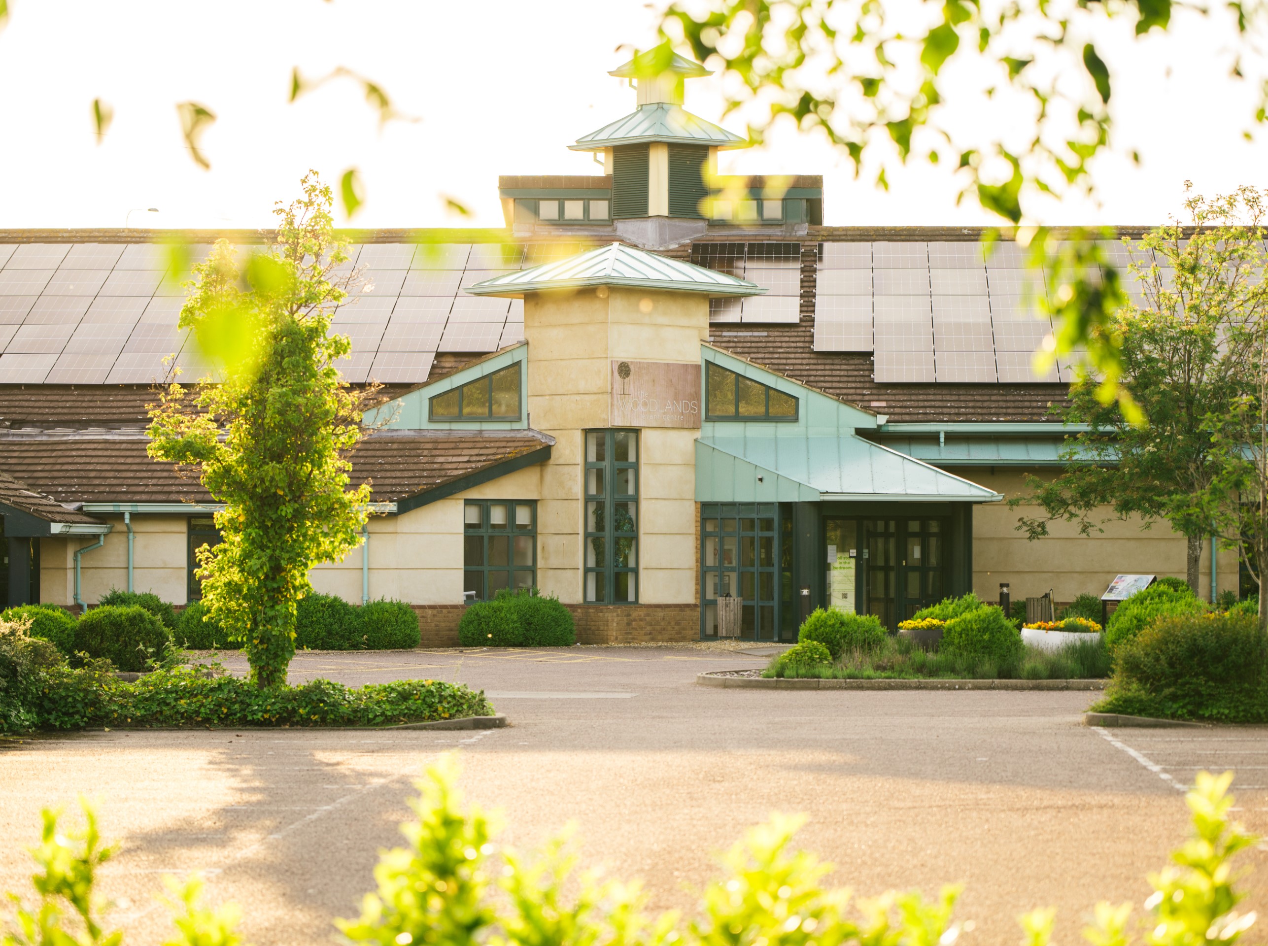 building with solar panels green bushes and trees in sunshine