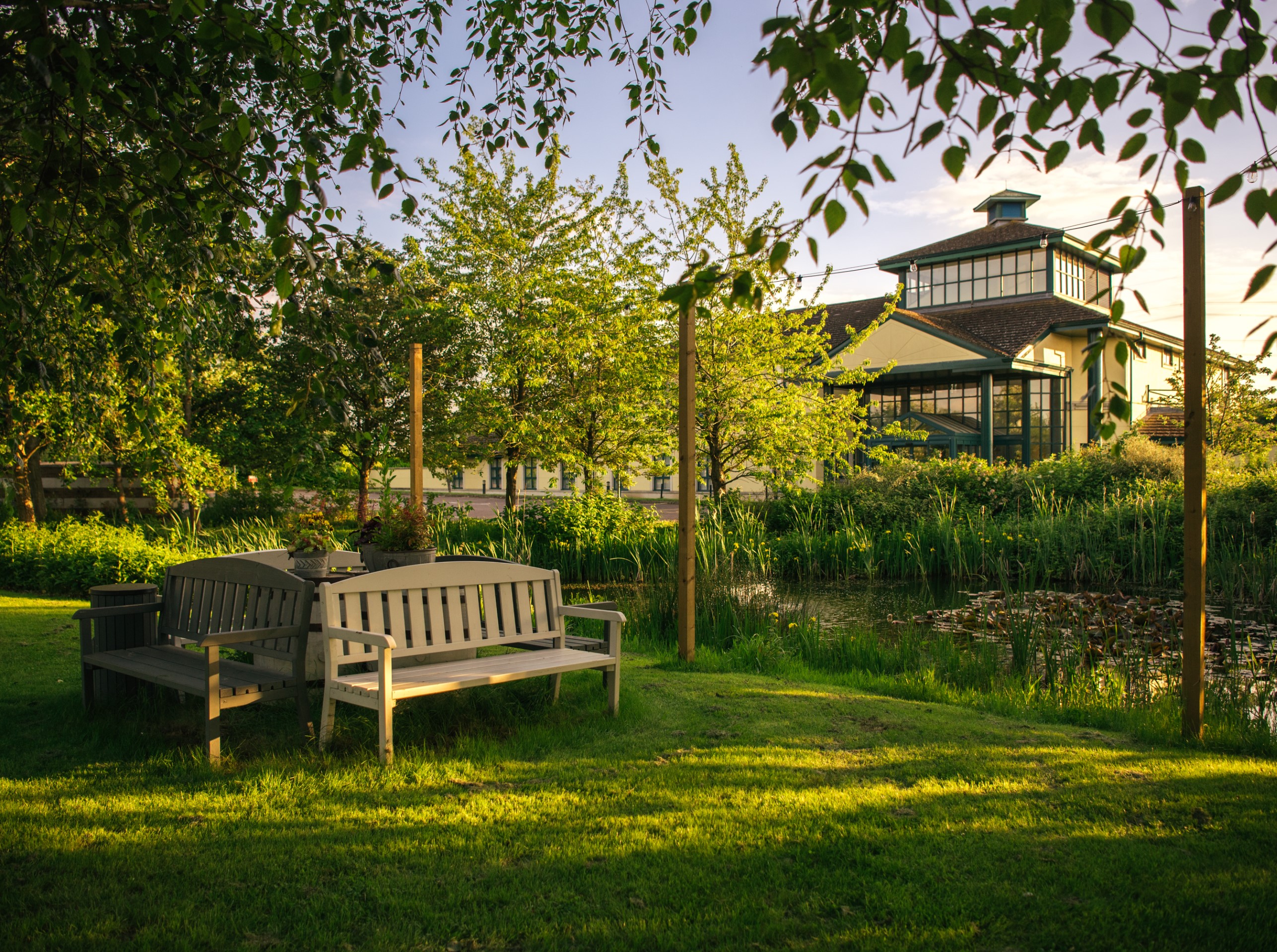 two wooden benches near pond and house in garden
