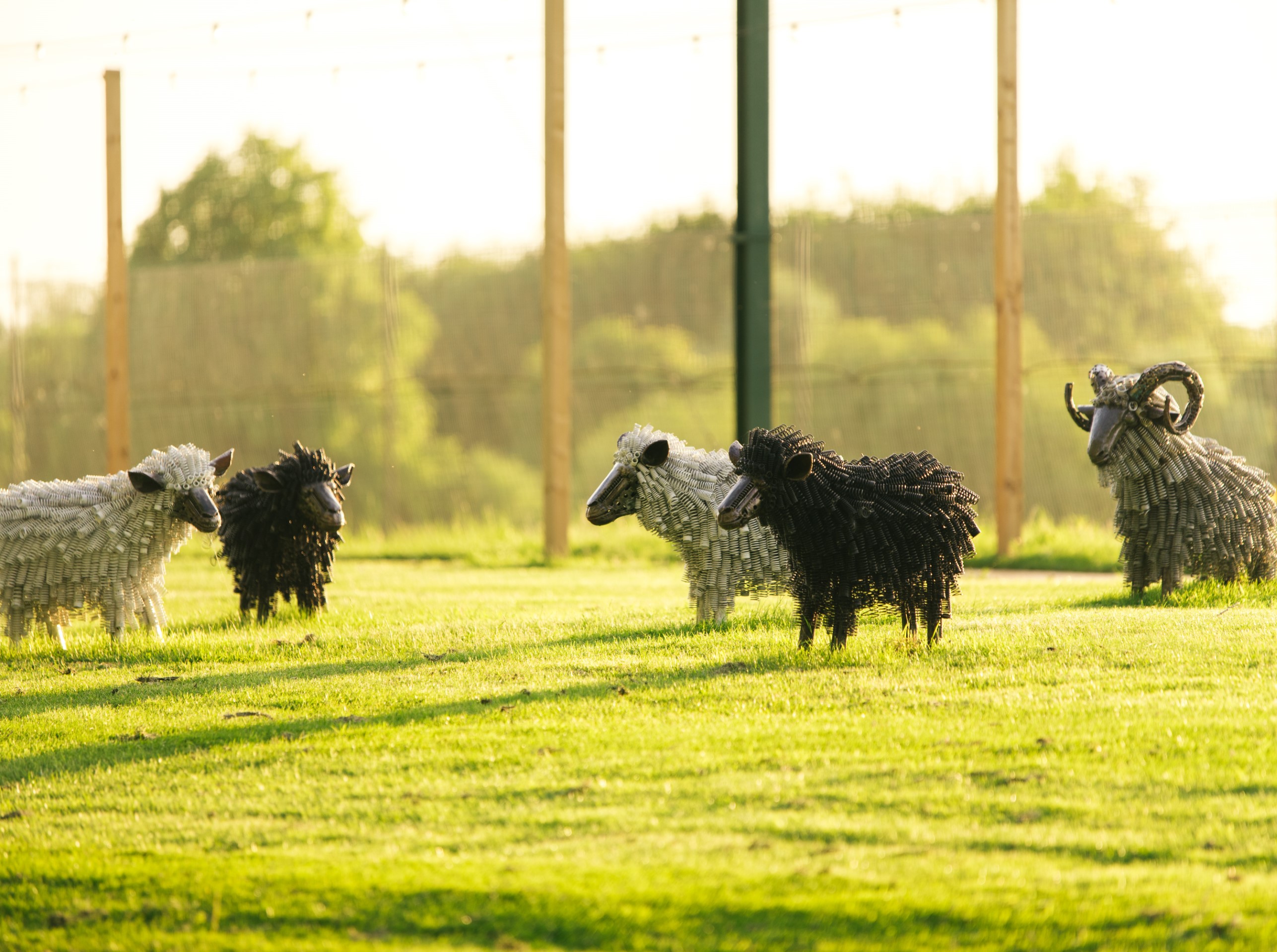 metal sculptures of sheep on green grass field