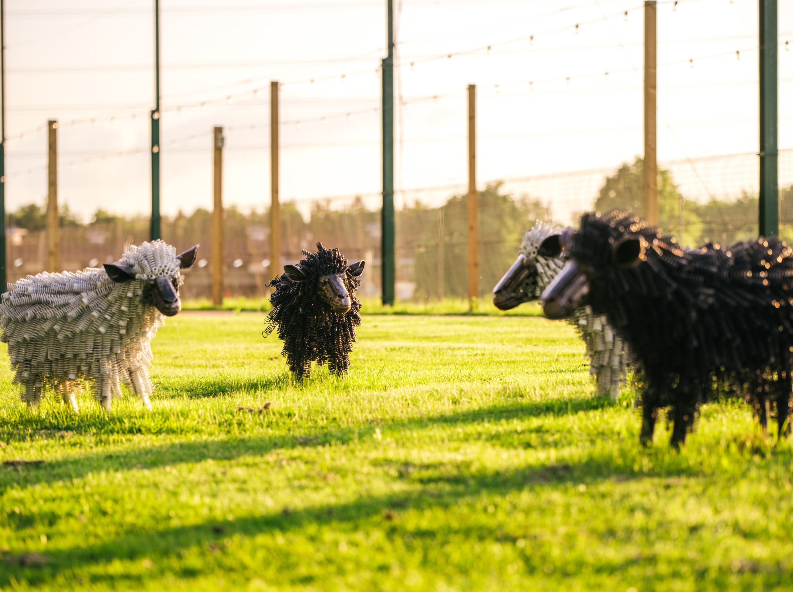 black and white sheep sculptures on grass field