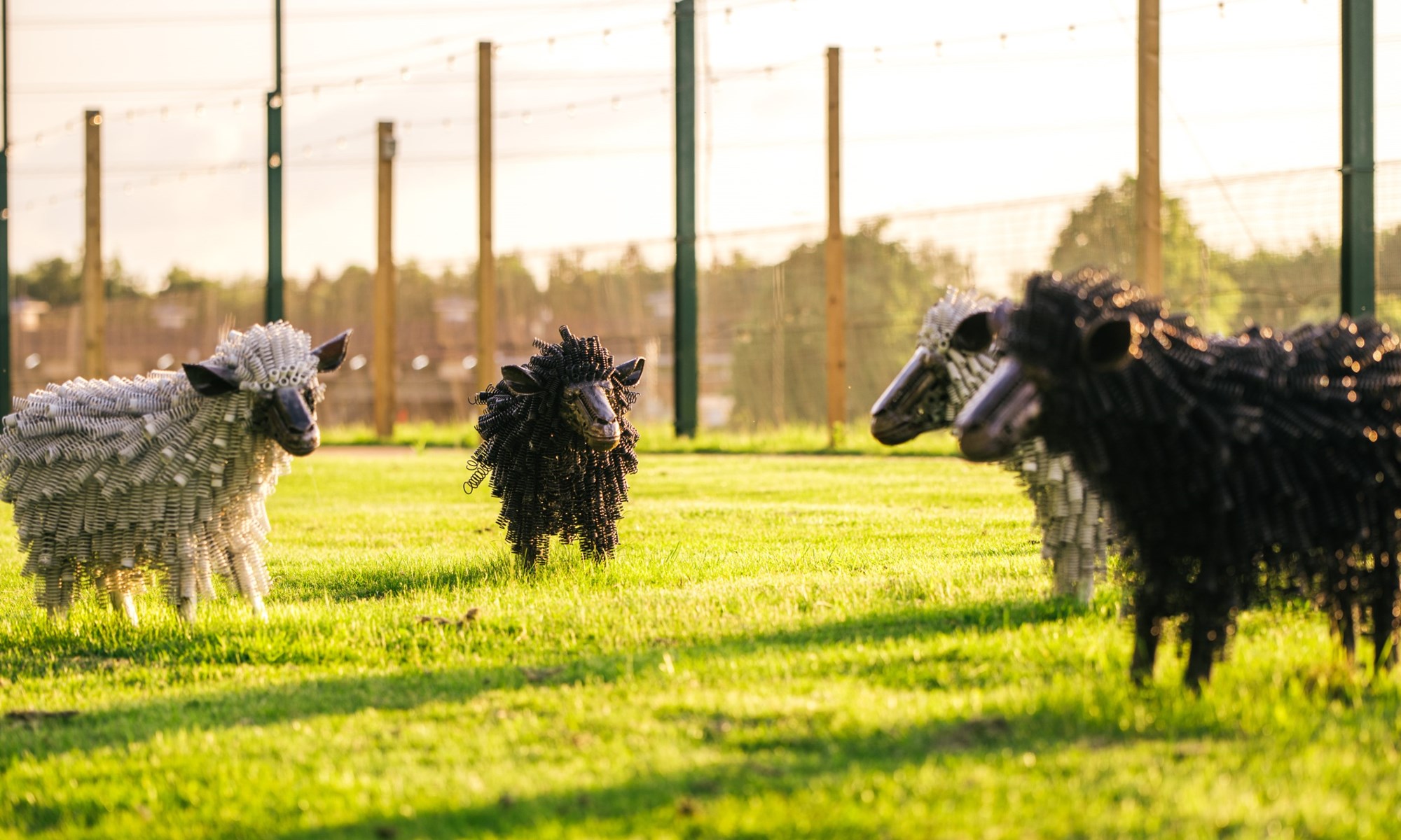 black and white sheep sculptures on grass field