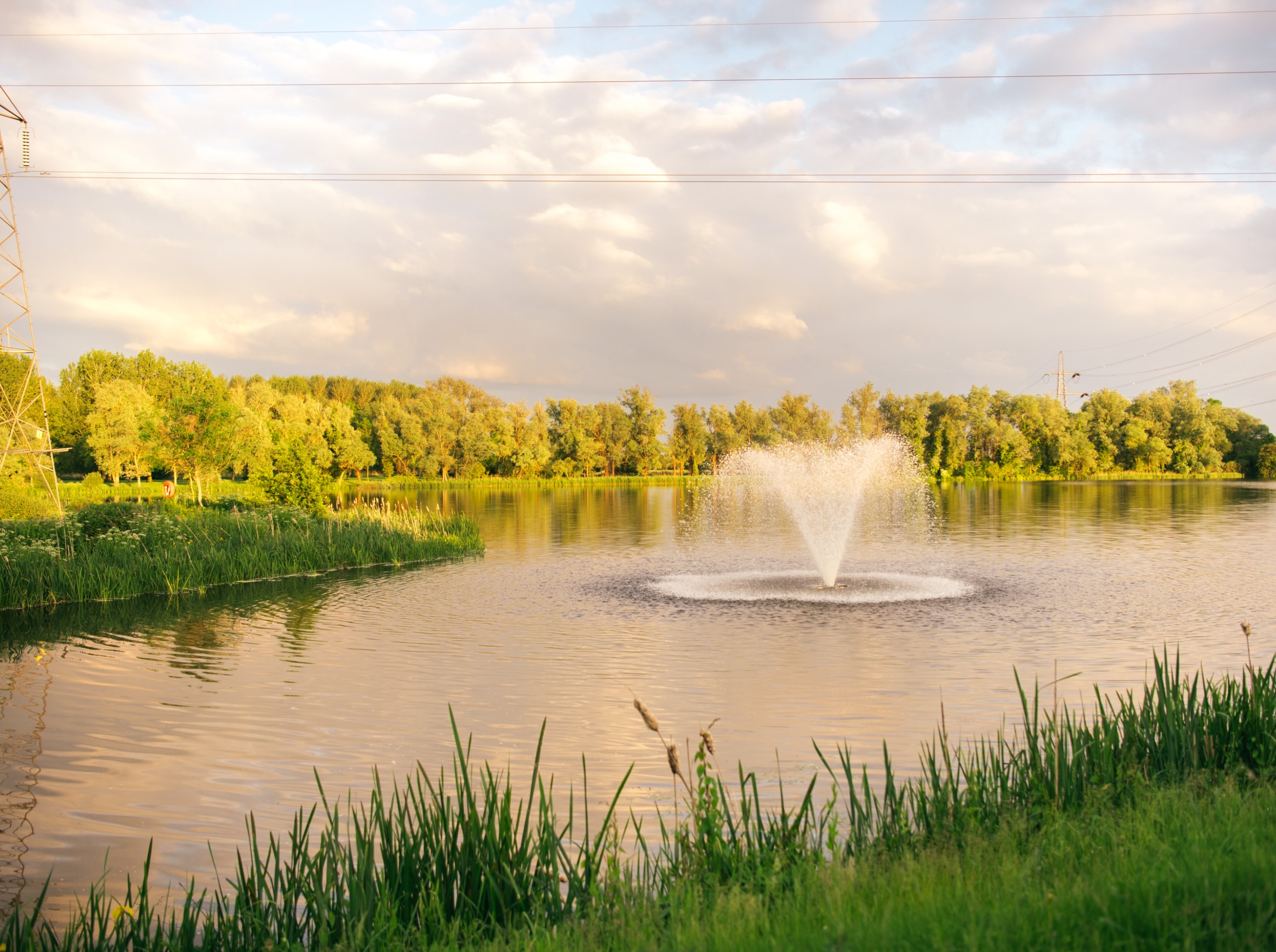 lake with water fountain surrounded by trees and grass