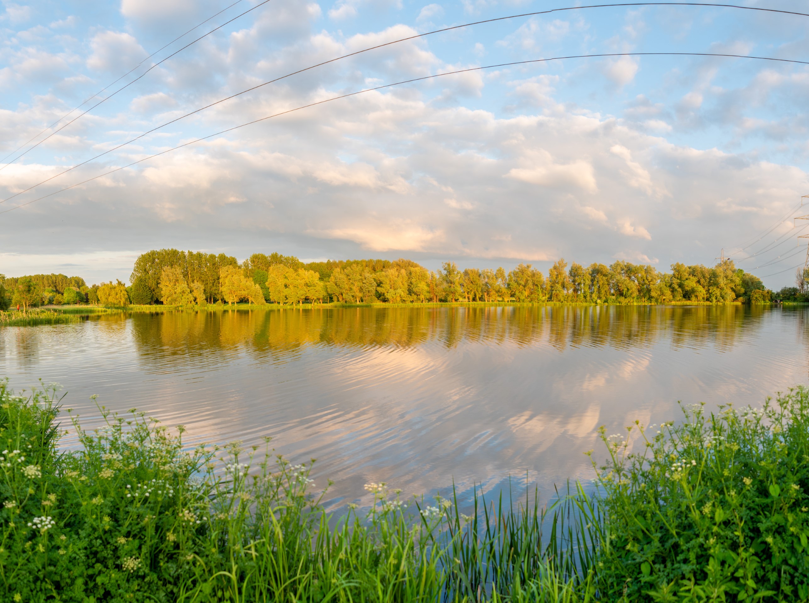 lake with trees and cloudy sky reflection