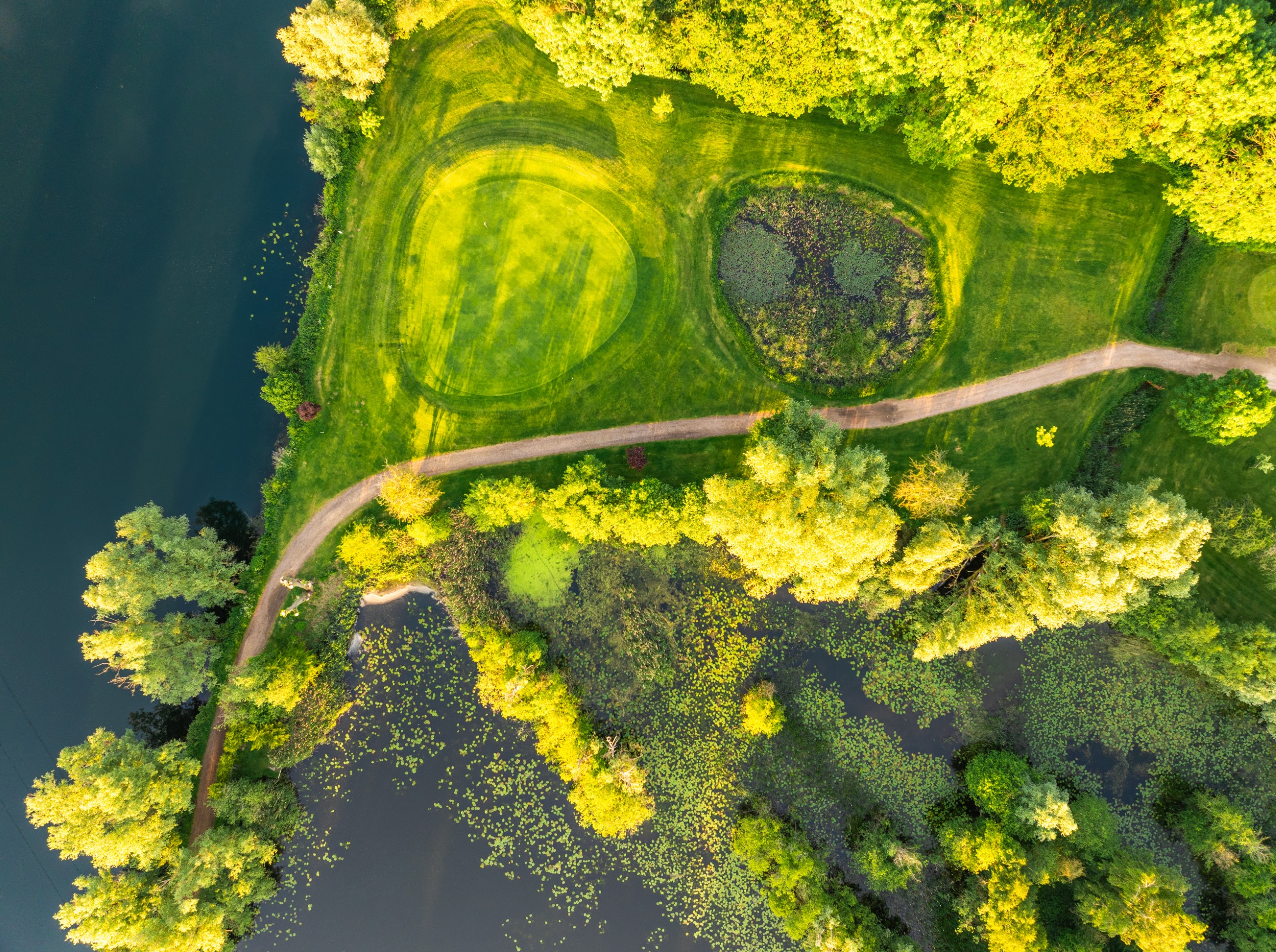 aerial view of river path woods and ponds on sunny