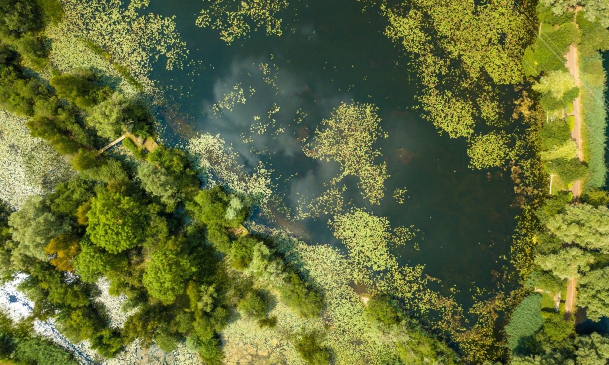 DJI 0768 (Custom) (Custom)