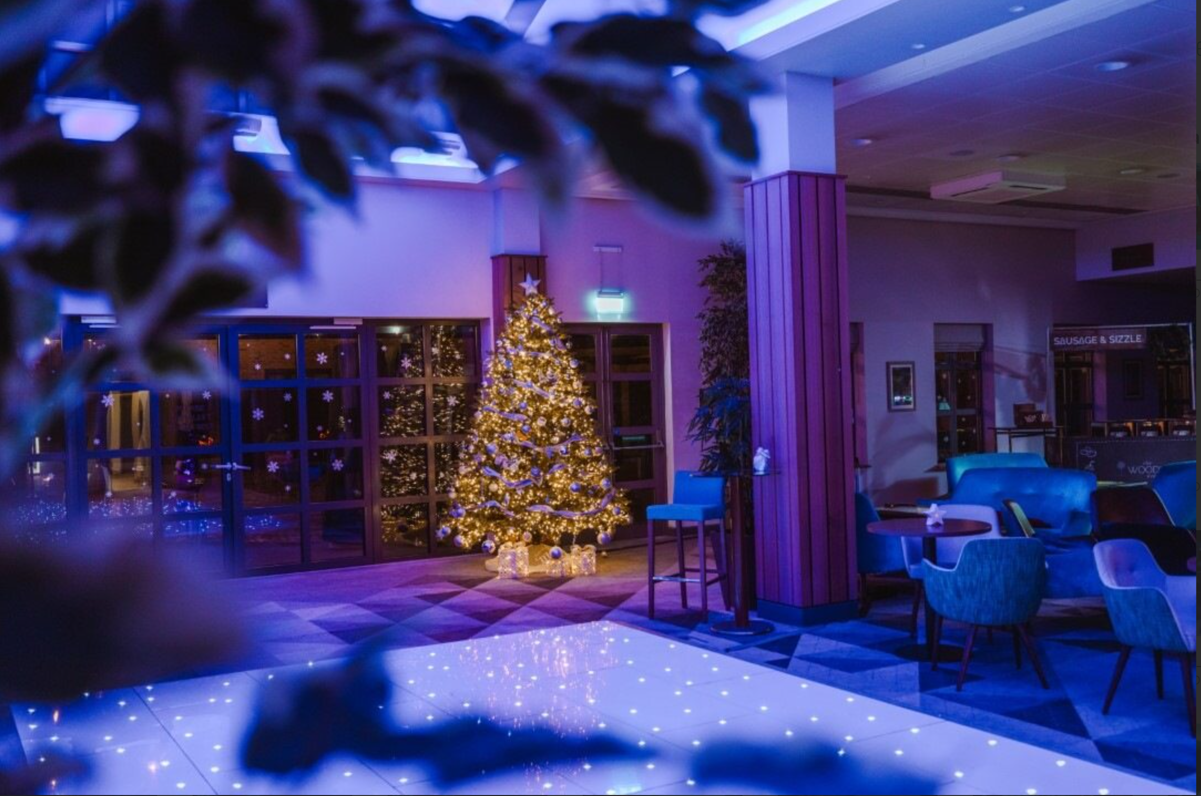 christmas tree with lights in blue lit room