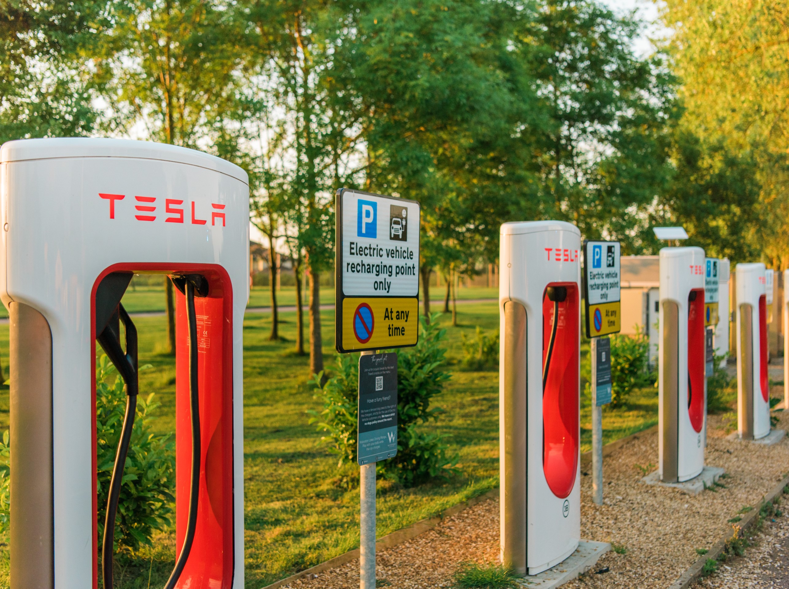 row of electric vehicle charging stations in green setting