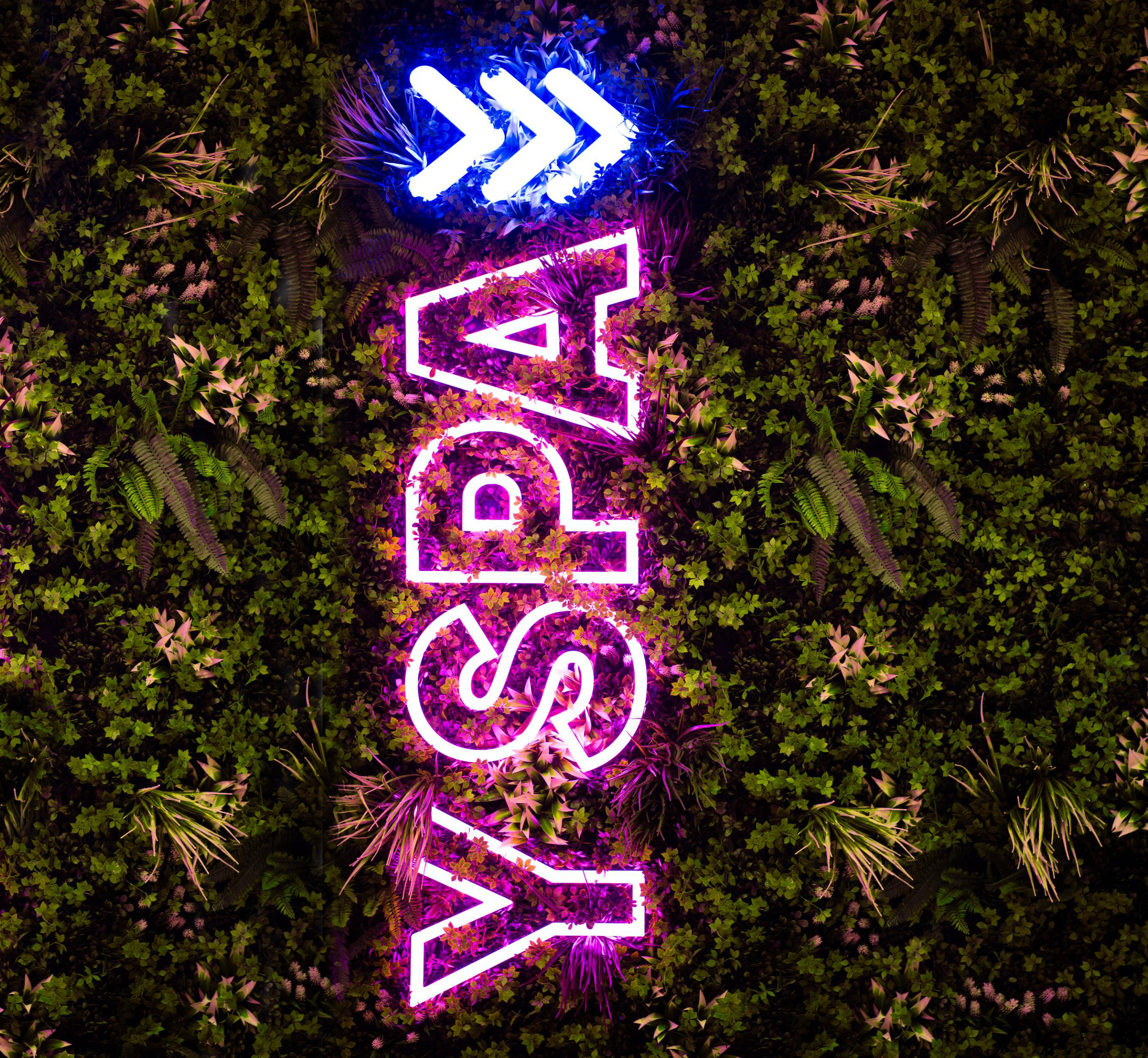 neon sign spelling yspa with arrows surrounded by plants
