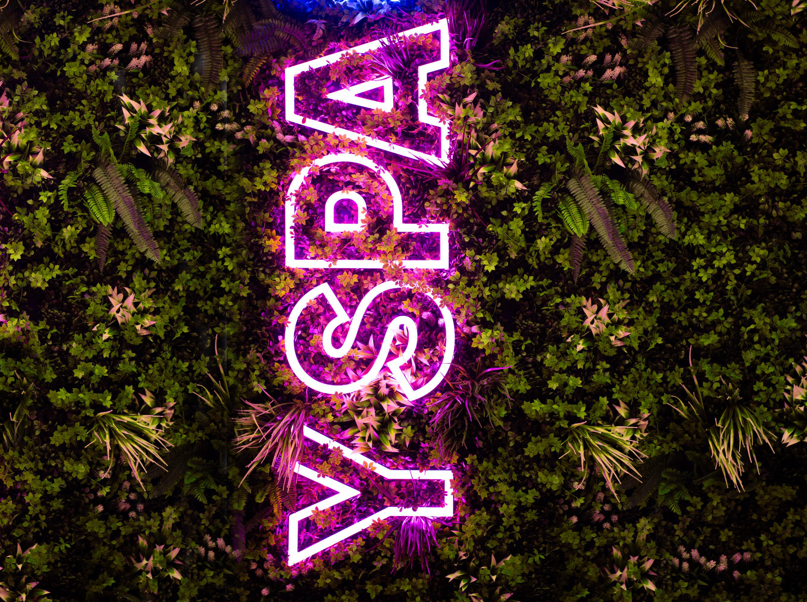 neon yoga sign on green artificial plants wall