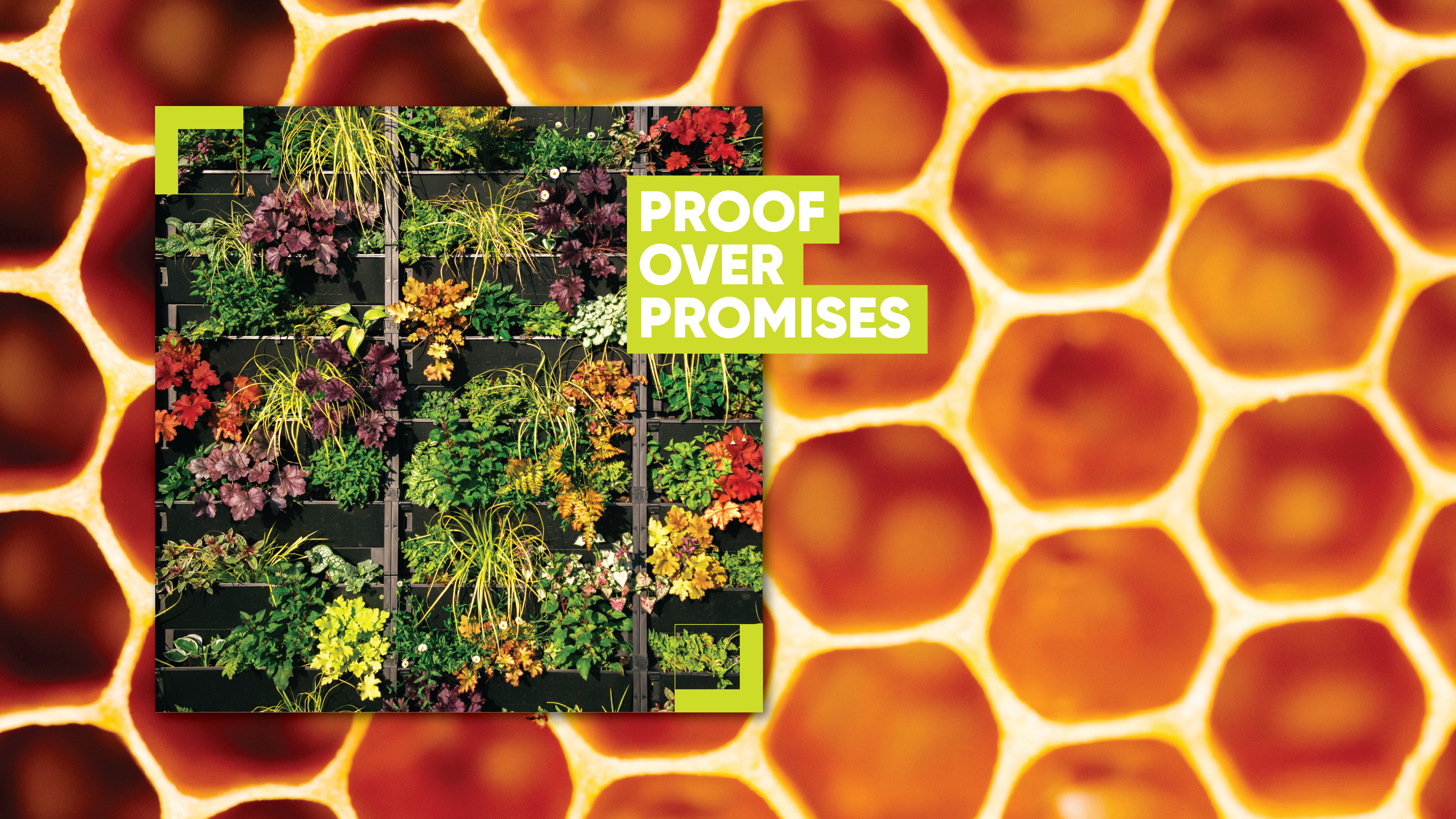 Campaign Assets Themed 09