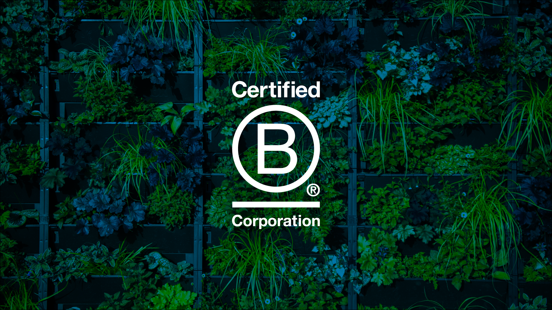 B Corp 4